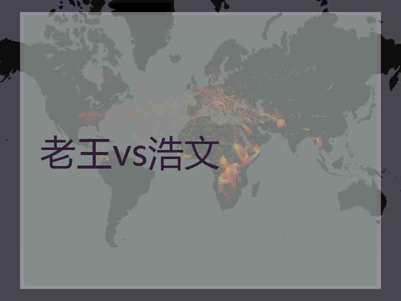 老王vs浩文