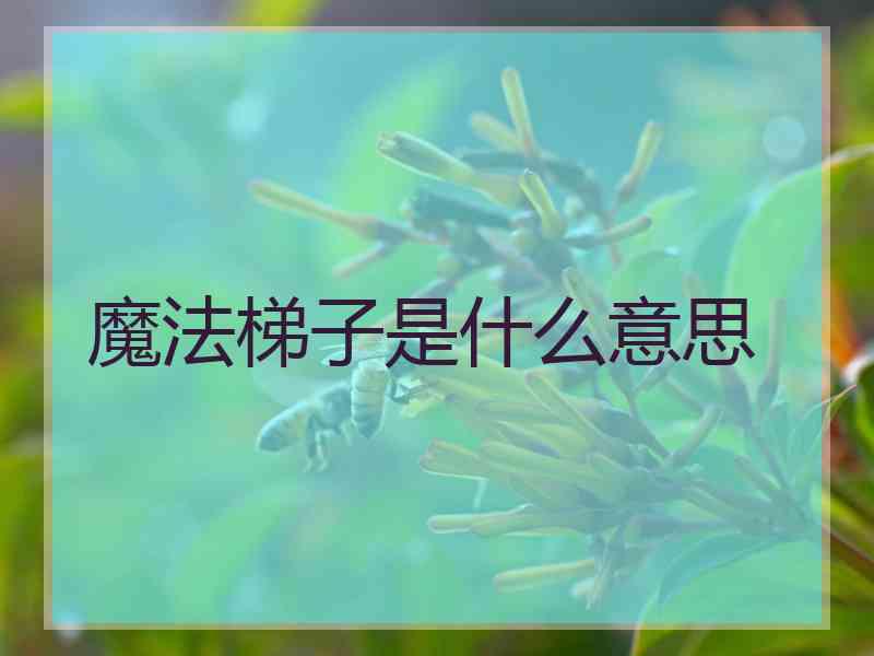 魔法梯子是什么意思