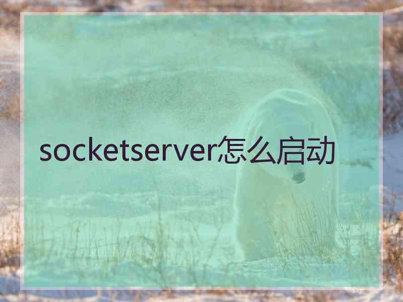 socketserver怎么启动