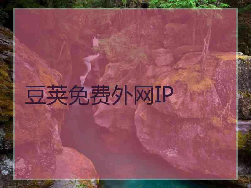 豆荚免费外网IP