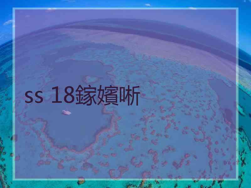ss 18鎵嬪唽
