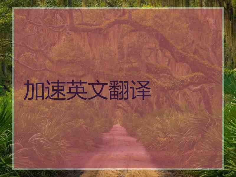 加速英文翻译