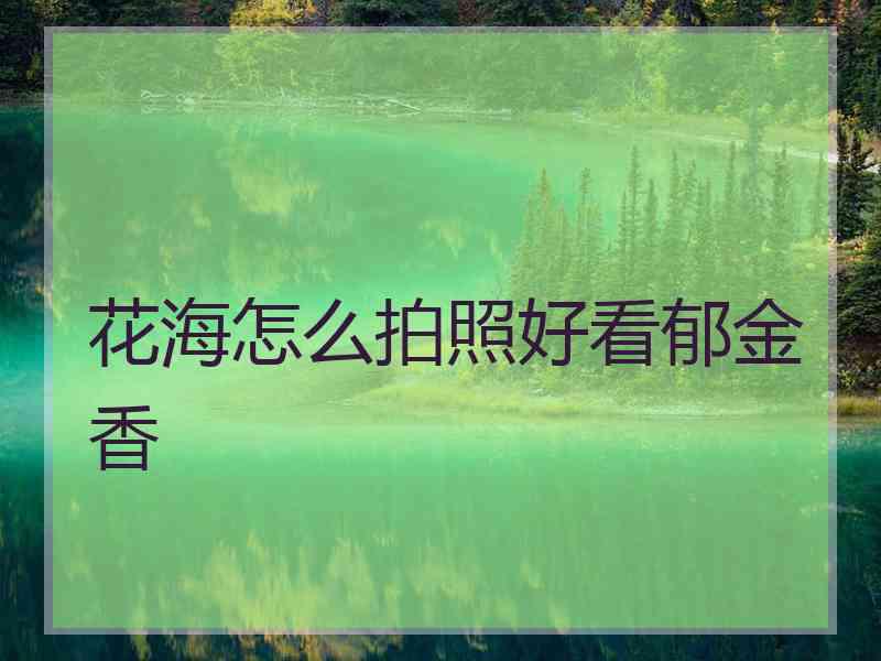 花海怎么拍照好看郁金香