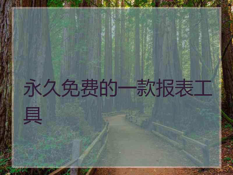 永久免费的一款报表工具