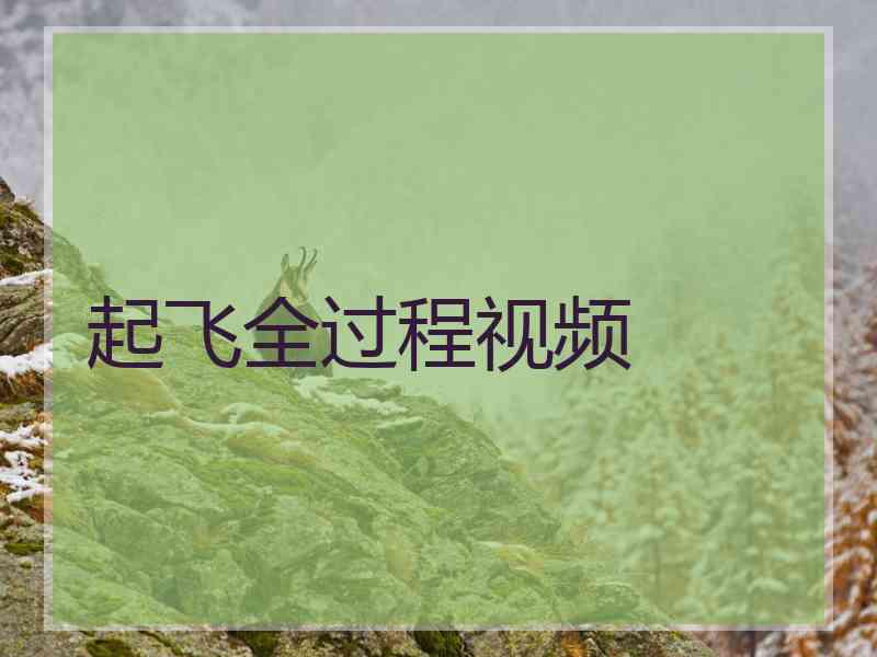 起飞全过程视频