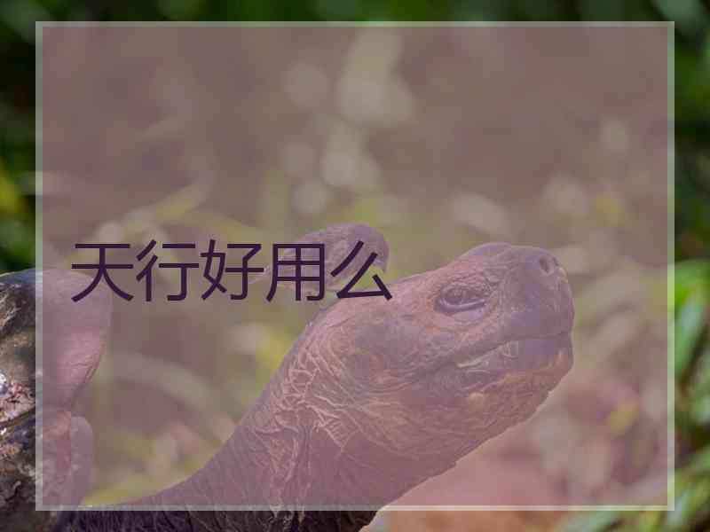 天行好用么