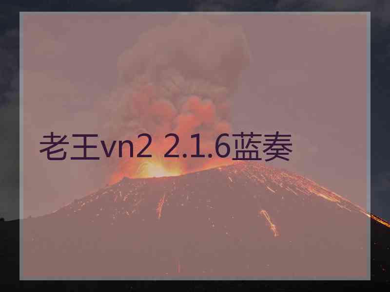老王vn2 2.1.6蓝奏