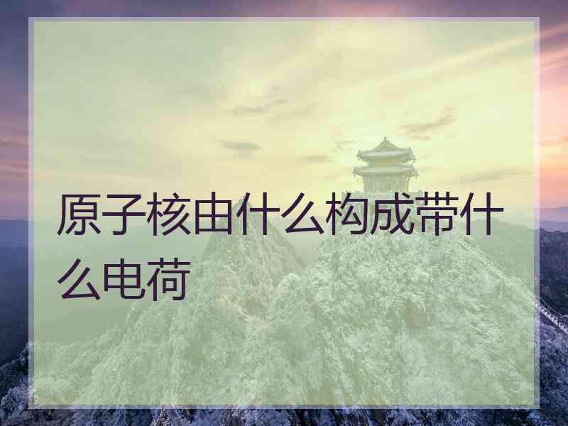 原子核由什么构成带什么电荷