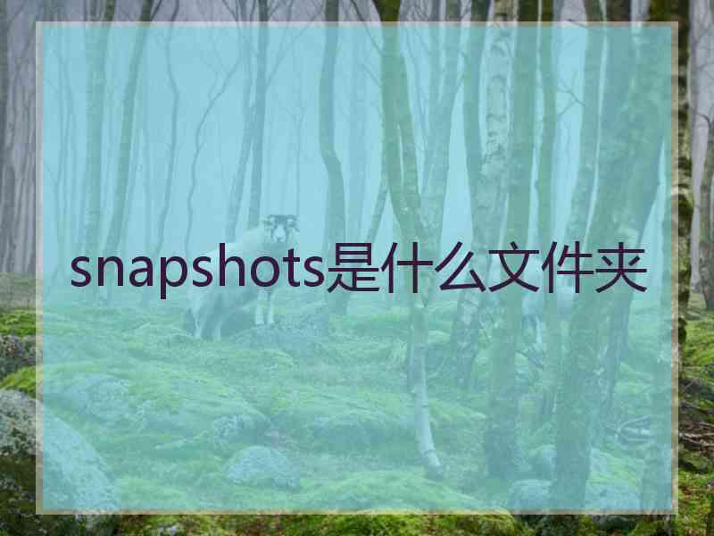 snapshots是什么文件夹