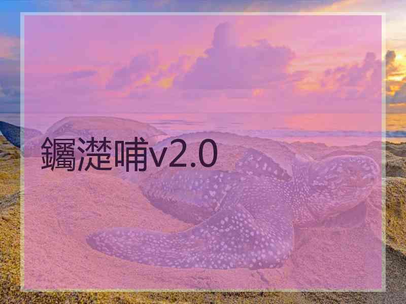 钃濋哺v2.0
