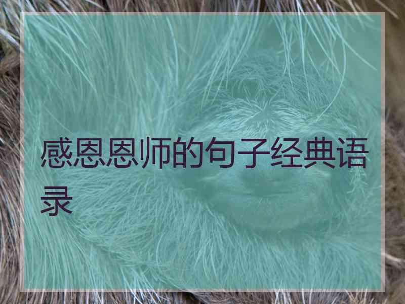 感恩恩师的句子经典语录