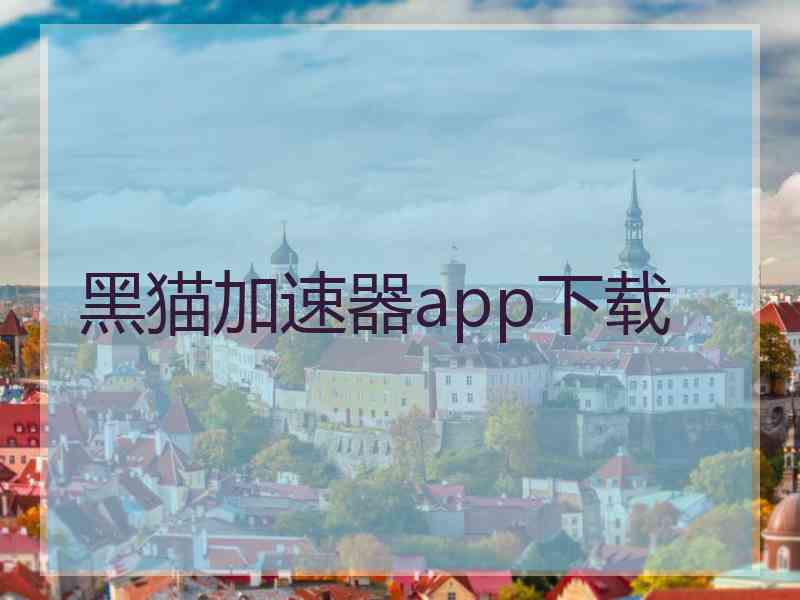 黑猫加速器app下载