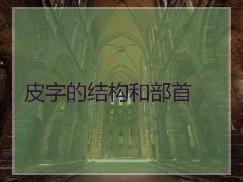 皮字的结构和部首