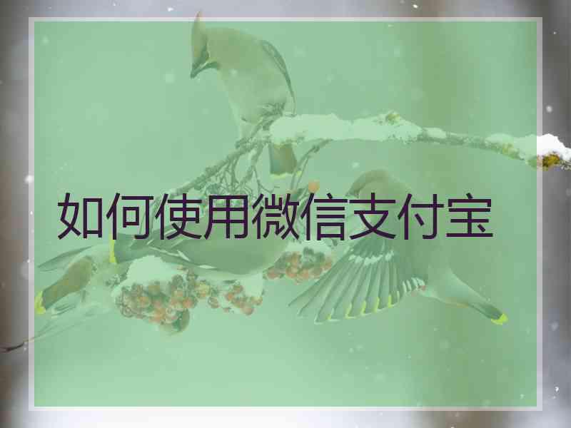 如何使用微信支付宝