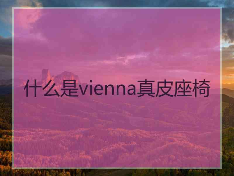 什么是vienna真皮座椅