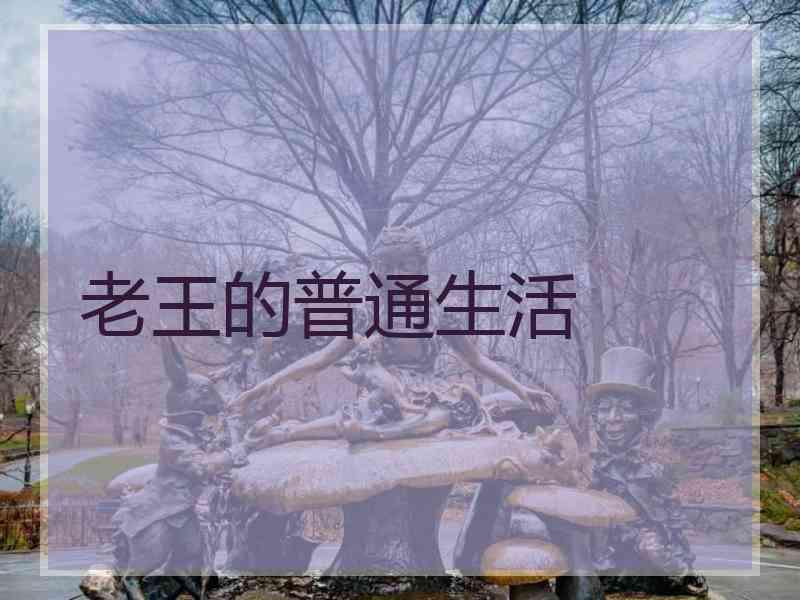 老王的普通生活