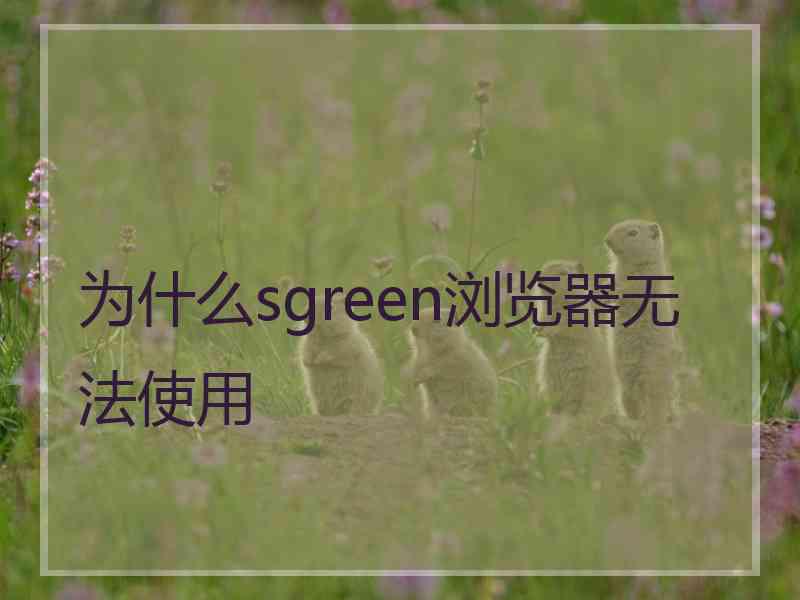 为什么sgreen浏览器无法使用