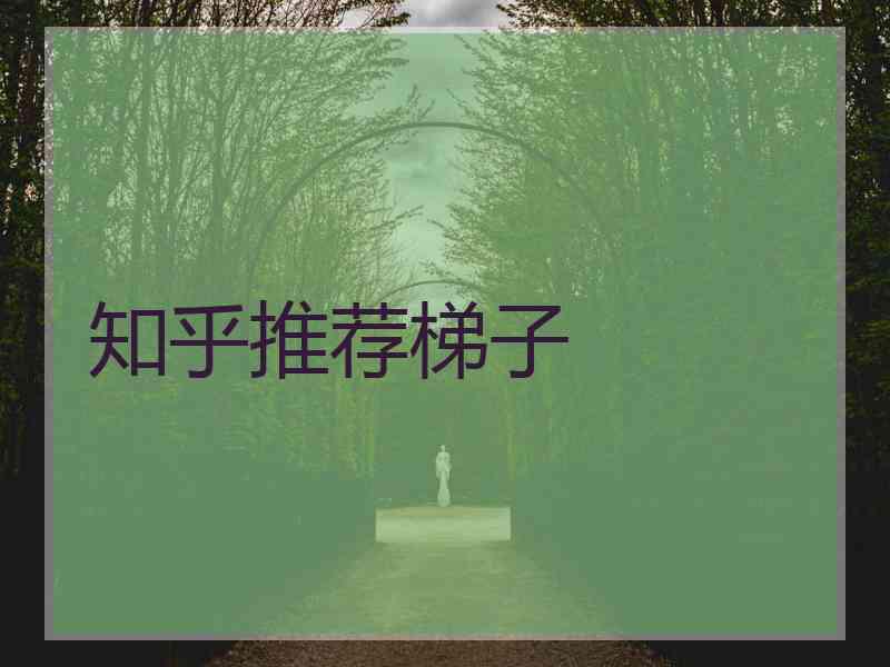 知乎推荐梯子