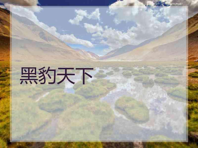 黑豹天下