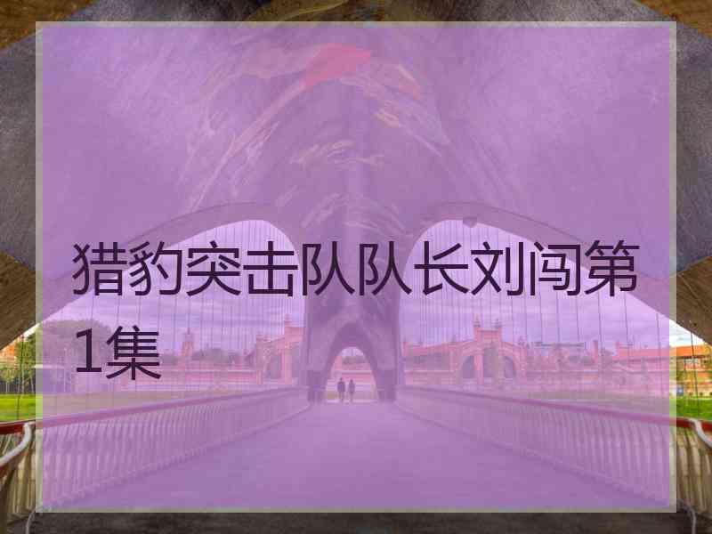 猎豹突击队队长刘闯第1集