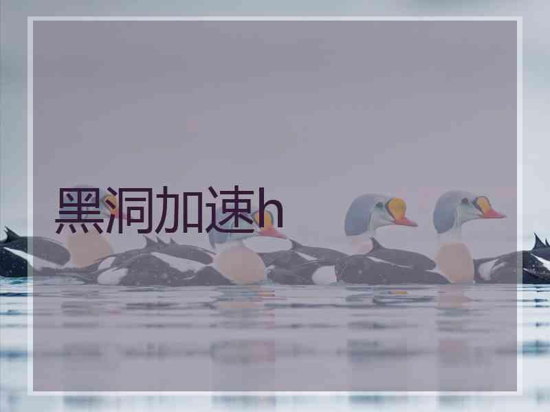 黑洞加速h