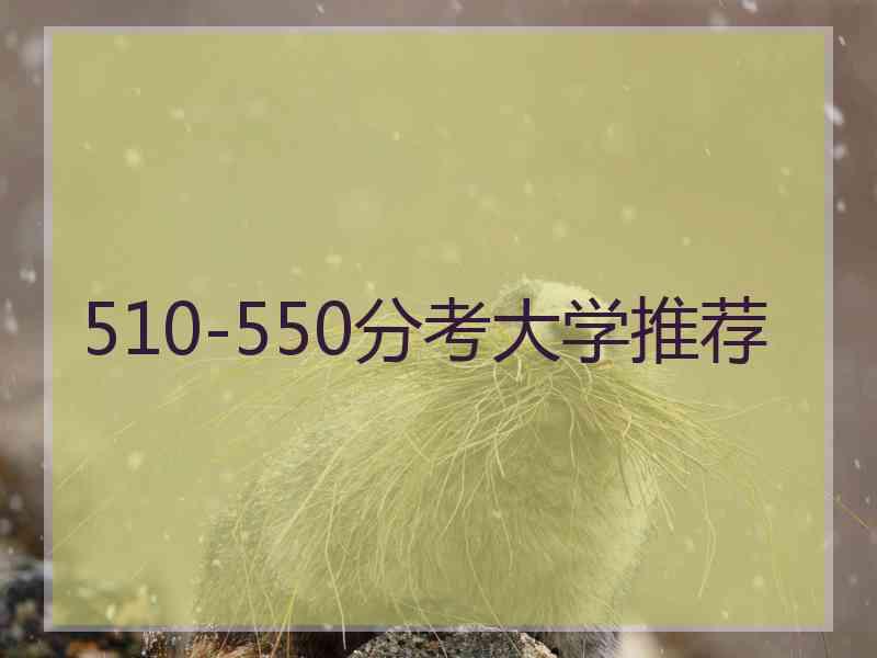 510-550分考大学推荐