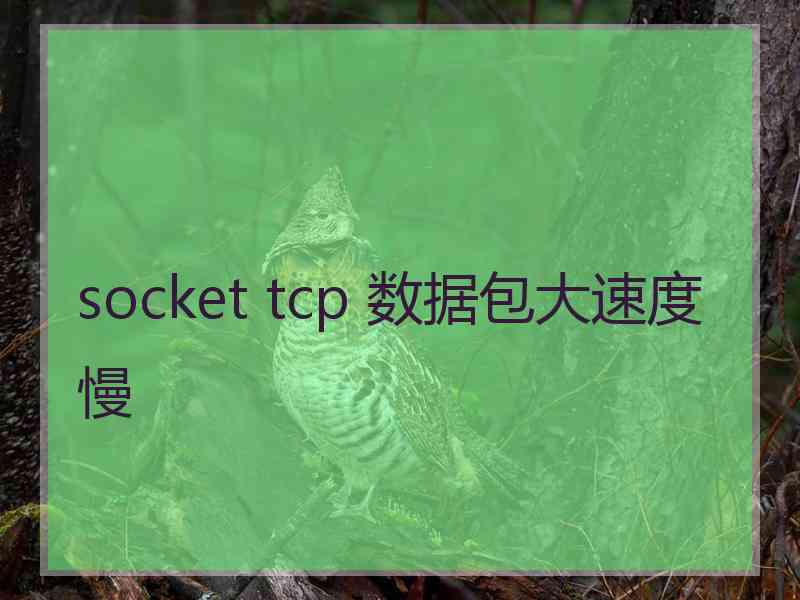 socket tcp 数据包大速度慢
