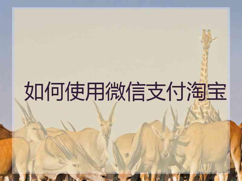 如何使用微信支付淘宝