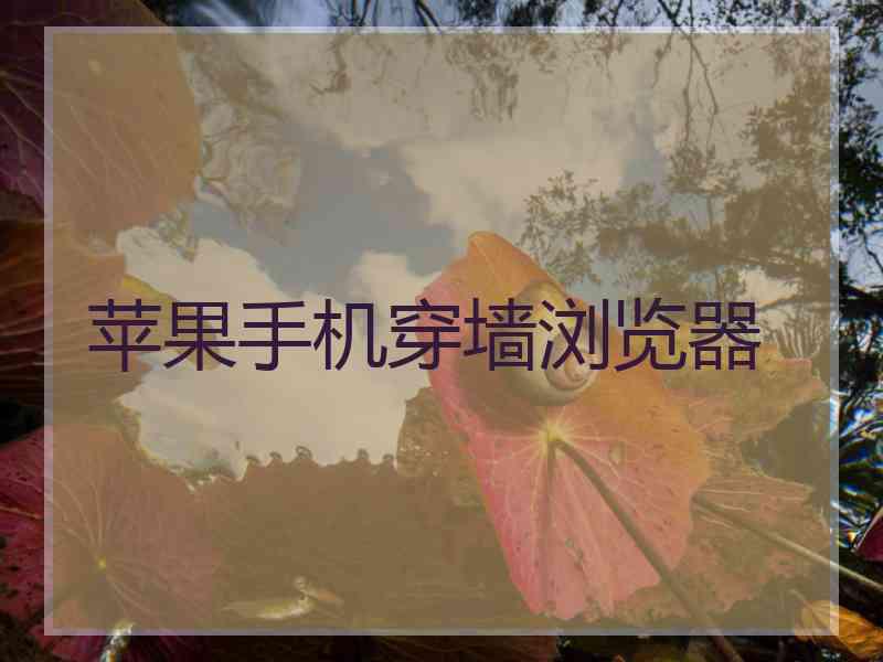 苹果手机穿墙浏览器