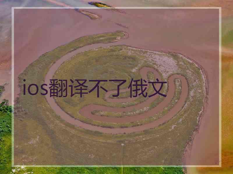 ios翻译不了俄文