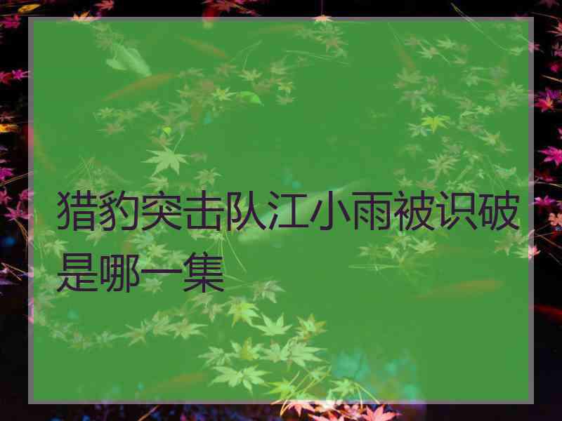 猎豹突击队江小雨被识破是哪一集