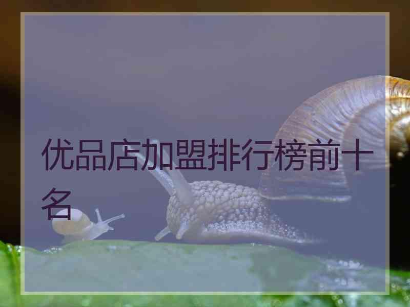 优品店加盟排行榜前十名
