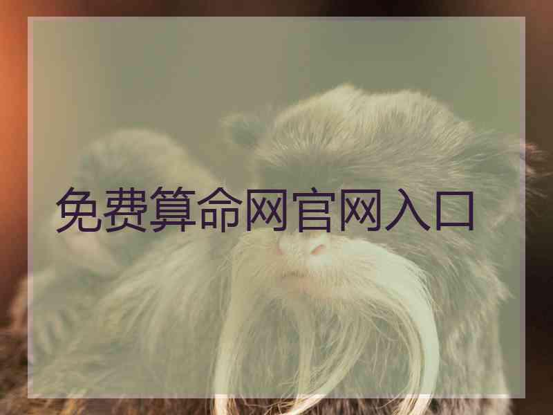 免费算命网官网入口