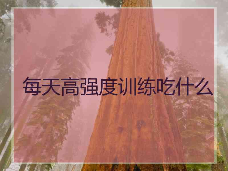 每天高强度训练吃什么