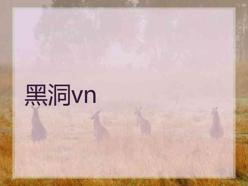 黑洞vn