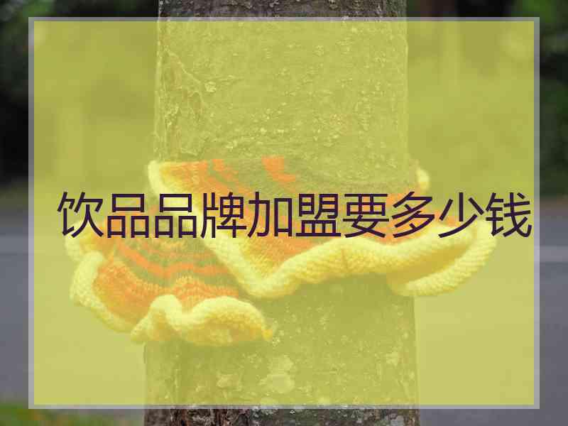 饮品品牌加盟要多少钱