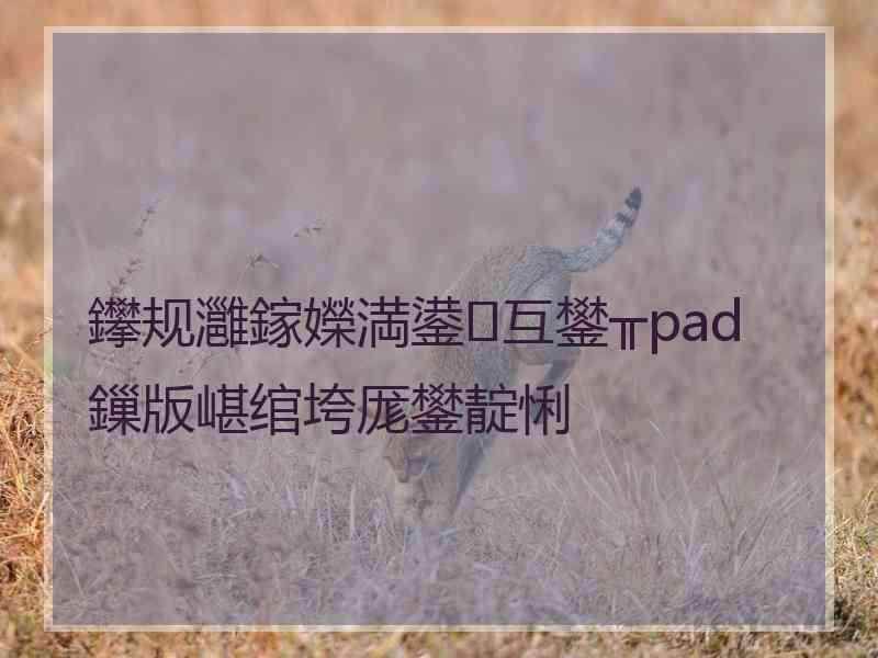鑻规灉鎵嬫満鍙互鐢╥pad鏁版嵁绾垮厖鐢靛悧