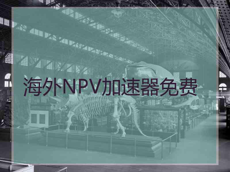 海外NPV加速器免费