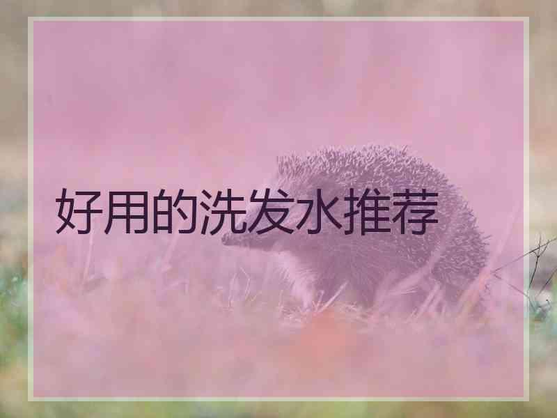 好用的洗发水推荐