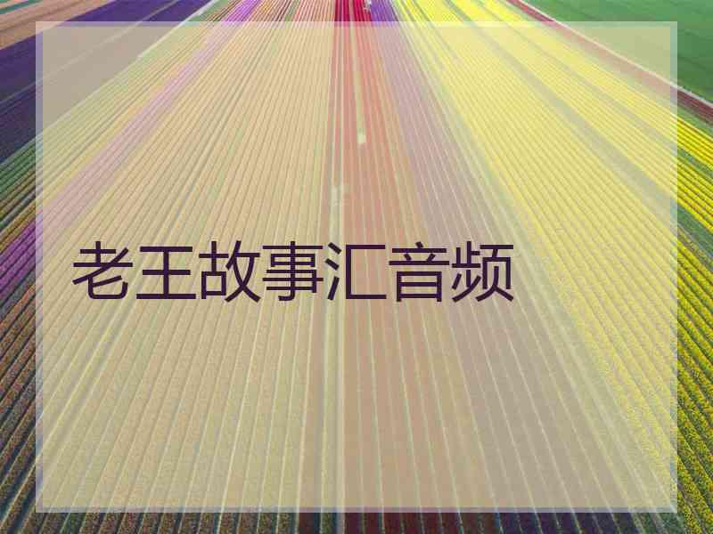 老王故事汇音频