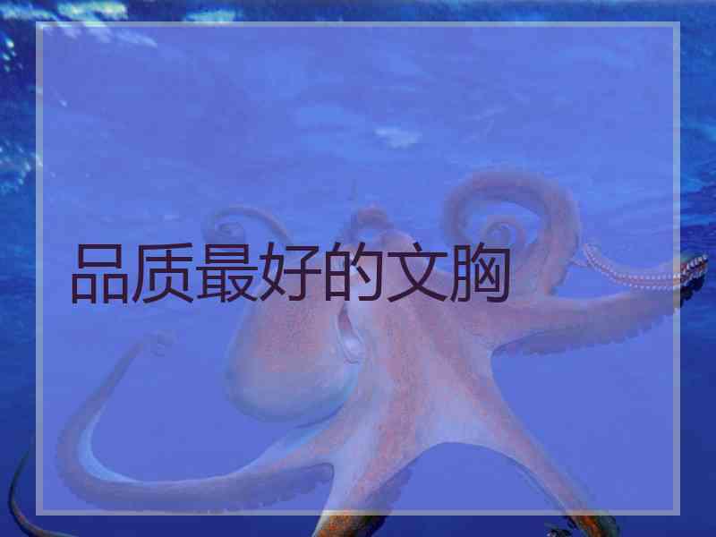 品质最好的文胸