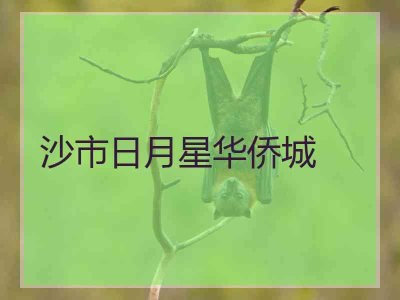 沙市日月星华侨城