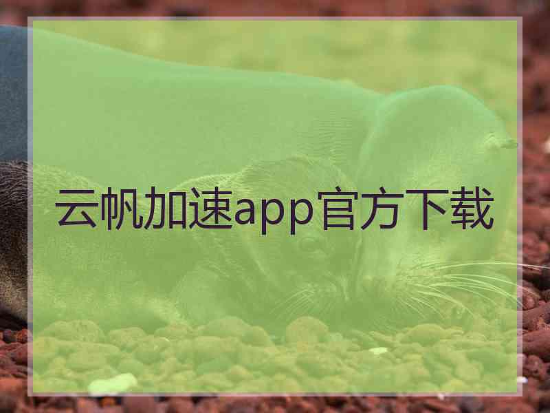 云帆加速app官方下载