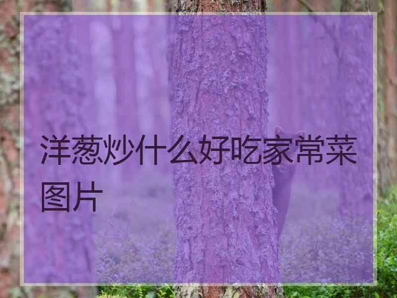 洋葱炒什么好吃家常菜图片