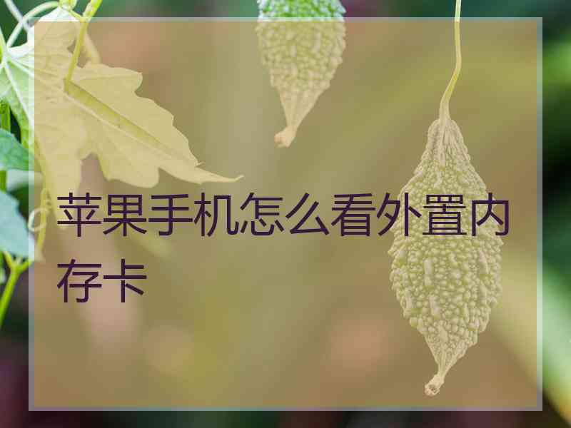 苹果手机怎么看外置内存卡