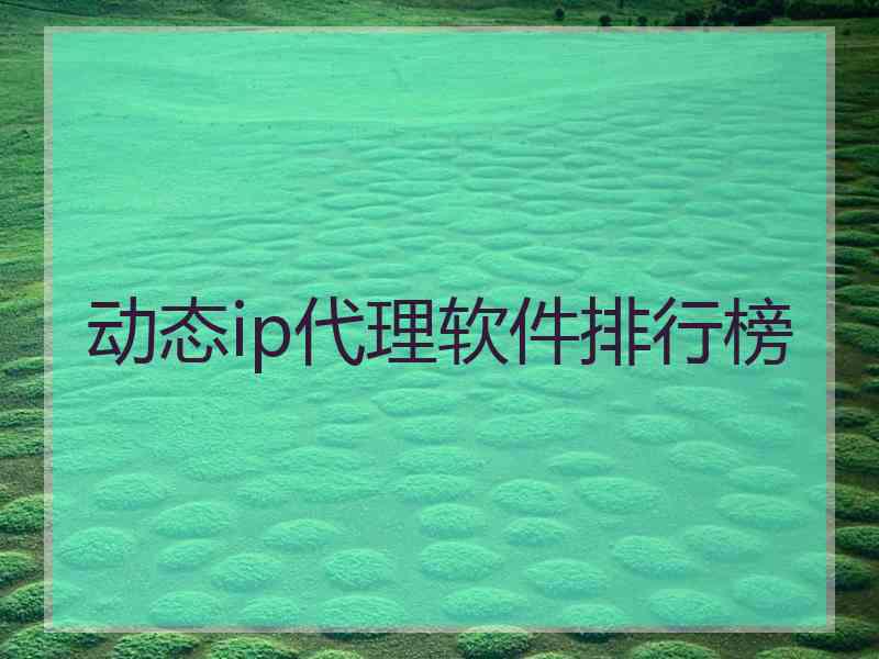 动态ip代理软件排行榜
