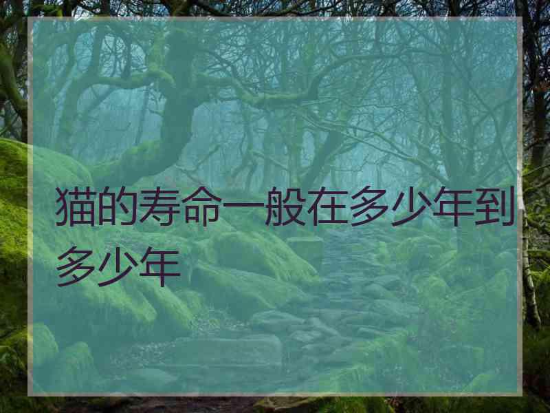 猫的寿命一般在多少年到多少年