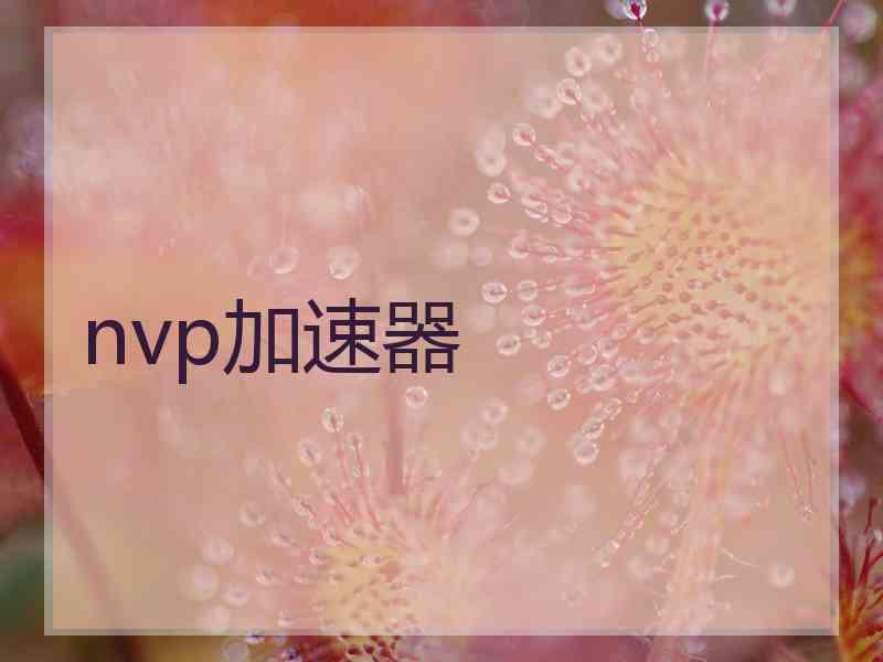 nvp加速器