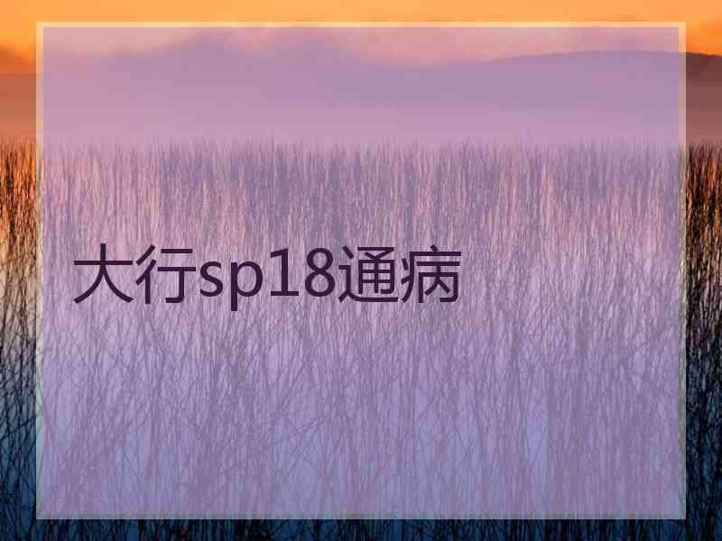 大行sp18通病