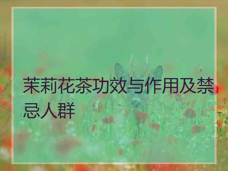茉莉花茶功效与作用及禁忌人群